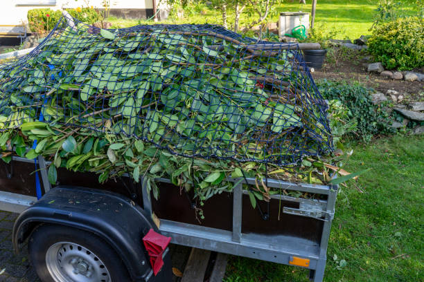Best Hoarding Cleanup  in Buckingham, FL